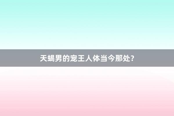 天蝎男的宠王人体当今那处？