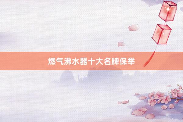 燃气沸水器十大名牌保举