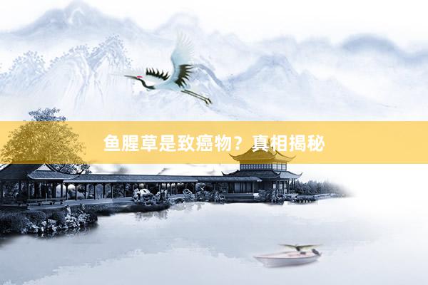 鱼腥草是致癌物？真相揭秘