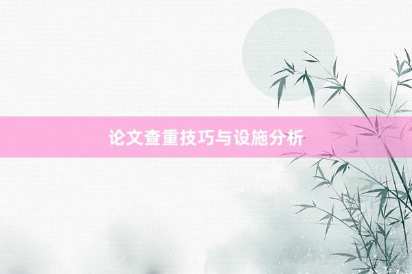 论文查重技巧与设施分析